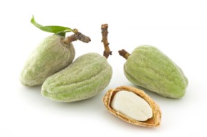 L'amande bio riche en calcium